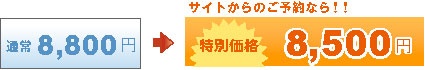 通常8,800円が特別価格8,500円